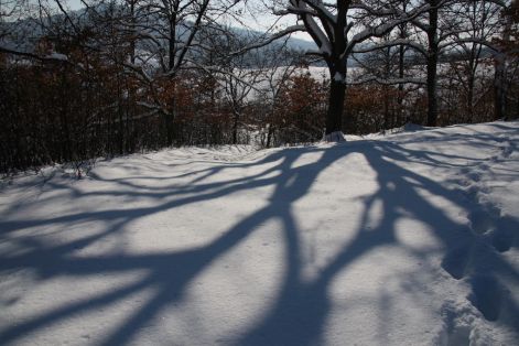 kiallitas_10.jpg kiallitas_10.jpg
