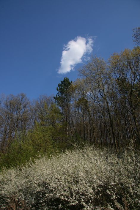 kiallitas_35.jpg kiallitas_35.jpg